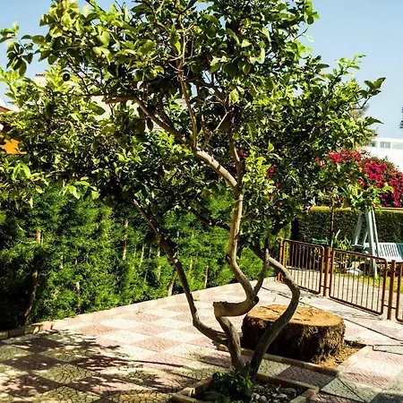 Liuda,3 Bedroom With Compool Σπίτι διακοπών Βορόκλινη